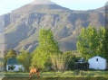 mountains